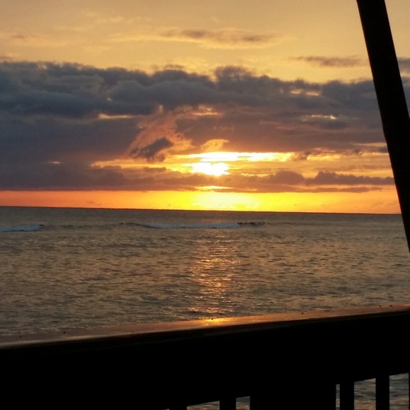 Meet your Posher, Francine - Picture 1 of 1